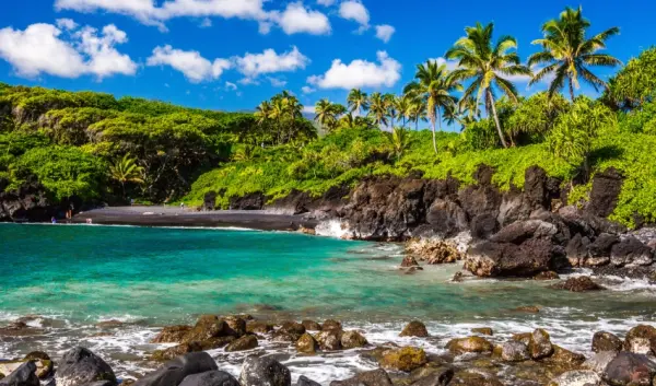 VIAJE VIAJE ESTADOS UNIDOS MAUI EEUU 5337